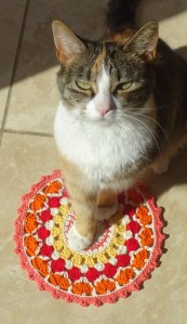 Yarnaddictcat
